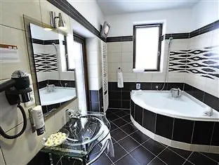 Hotel Arte Брно 4*,